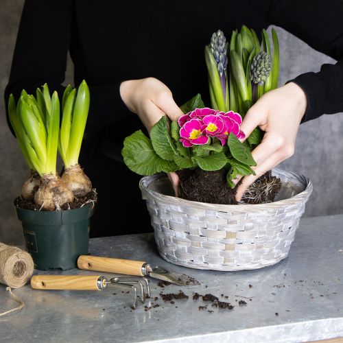 Artikel Flätad korg som snygg blomsterdekoration i vardagsrummet. Påskkorg, 23 cm, 6 delar.