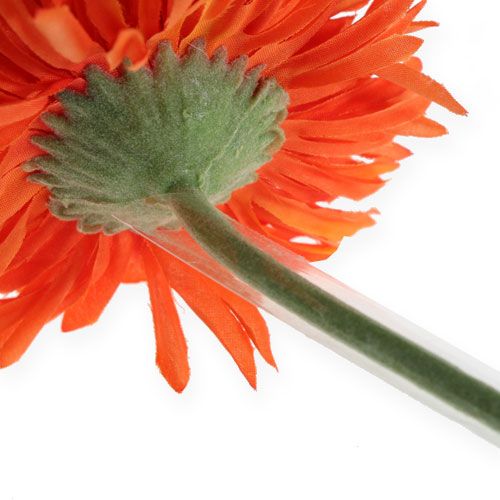 Artikel Gerbera stödslang 200m