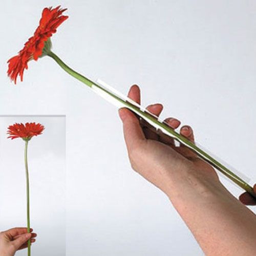 Artikel Gerbera rörsektioner 1000 st