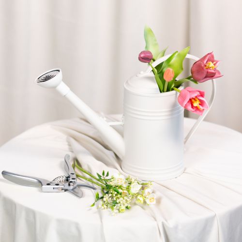 Artikel Vattenkanna med avtagbart rosenhuvud. Perfekt för krukväxter och balkonger. 32 cm