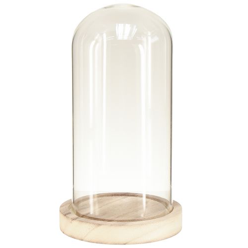 Floristik24 Glasklocka med bas av klart naturträ Ø12cm H21cm