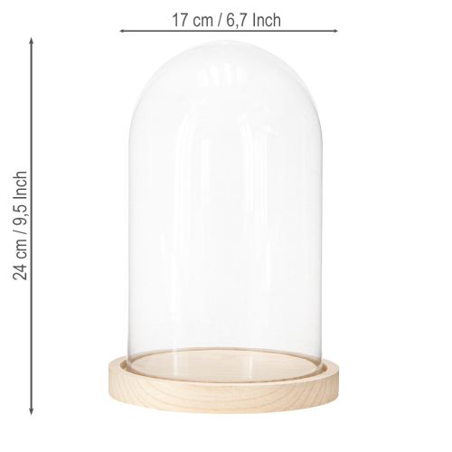 Artikel Glasklocka på träbricka, glasburk, klar, naturlig, Ø17cm, H24cm