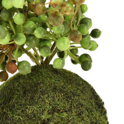 Artikel Grön växt konstgjord pärlsnöre i mossakula 38cm