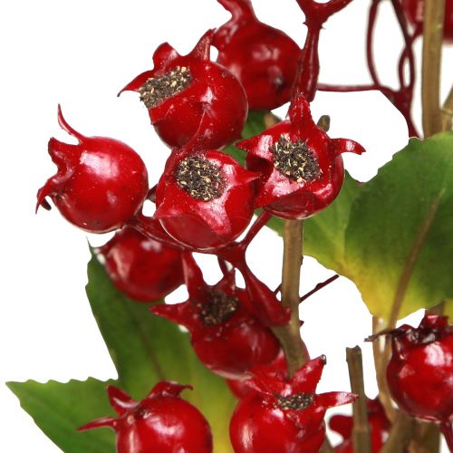 Artikel Nypon dekorativ gren med röda frukter L60cm 2 st