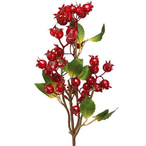 Artikel Nypon dekorativ gren med röda frukter L60cm 2 st