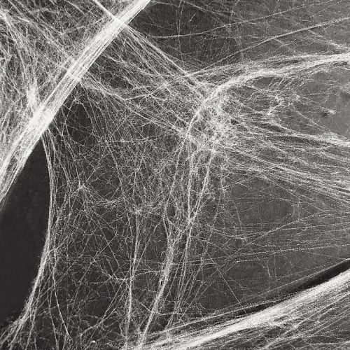 Floristik24 Halloweendekoration spindelnät 70×100cm 150g