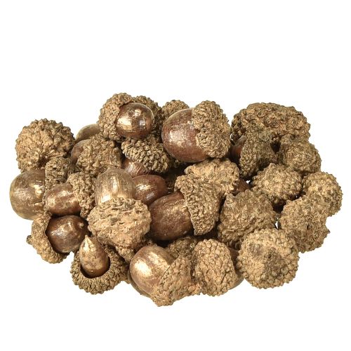 Artikel Gyllene höstfrukter, festliga höstdekorationer, naturliga dekorativa ekollon, adventsdekoration Ø1,5 – 2,5 cm L1,5 – 3 cm 300 g
