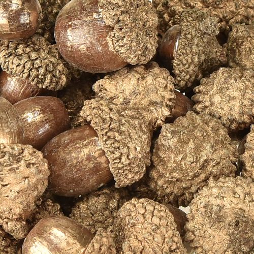 Artikel Gyllene höstfrukter, festliga höstdekorationer, naturliga dekorativa ekollon, adventsdekoration Ø1,5 – 2,5 cm L1,5 – 3 cm 300 g