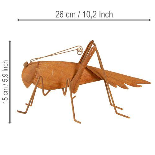 Artikel Gräshoppa trädgårdsdekoration, rostfri metall, fristående dekoration, 26 cm