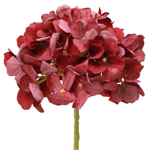 Floristik24 Hortensia Konstgjord Bourgogne Stor Blomma Ø15cm L58cm 2st