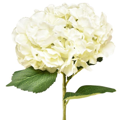 Artikel Konstgjord hortensia Gigant dekorativ blomma lax Ø23cm L84cm