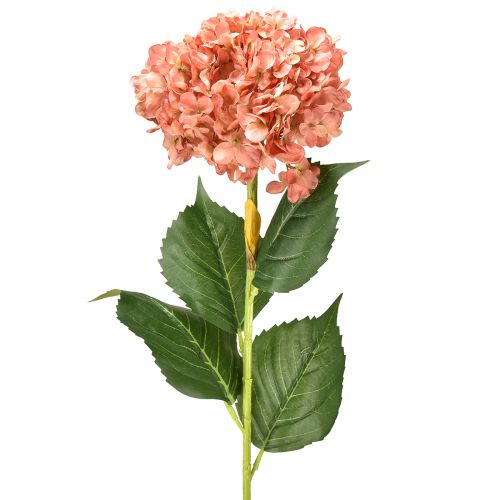 Artikel Hortensia Rosa 80cm 1 st