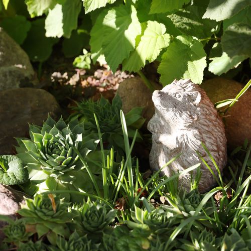 Höstdekorationsfigur igelkott i gjuten sten, vitkalkad, H14,5 cm