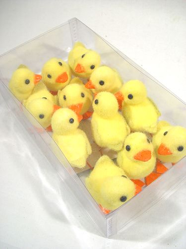 Floristik24 Chick m. Trådfot 8 cm 12st. gul / orange