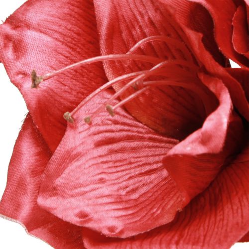Artikel Konstgjord Amaryllis Konstgjorda Blommor Röda Ø18cm L68cm 2st