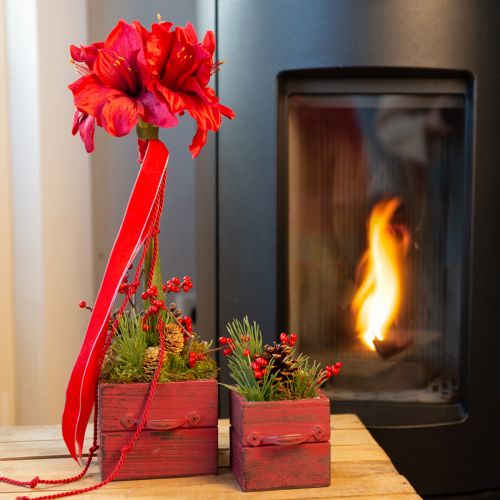 Floristik24 Konstgjord Amaryllis Konstgjorda Blommor Röda Ø18cm L68cm 2st