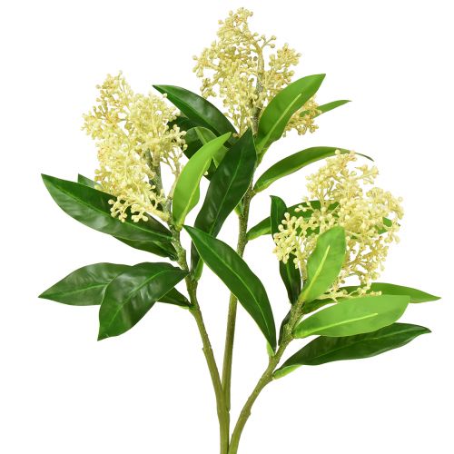 Floristik24 Konstgjorda blommor kräm Skimmia japonica Skimmie 45cm 2st