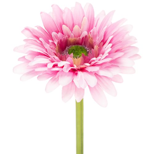 Konstgjorda Gerberablommor, Rosa, 47 cm, 6 st köpa | Floristik24.se