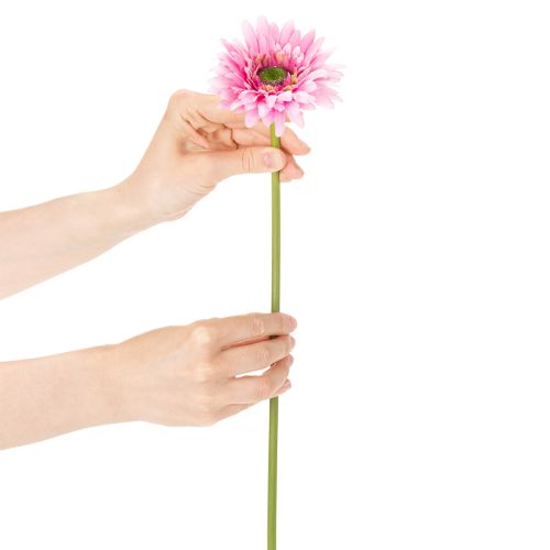 Konstgjorda Gerberablommor, Rosa, 47 cm, 6 st | Floristik24.se