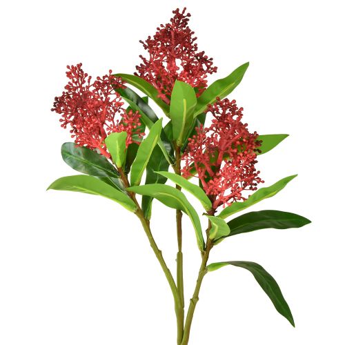 Artikel Konstgjorda blommor Röda Skimmia japonica Skimmie 45cm 2st