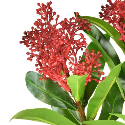 Artikel Konstgjorda blommor Röda Skimmia japonica Skimmie 45cm 2st