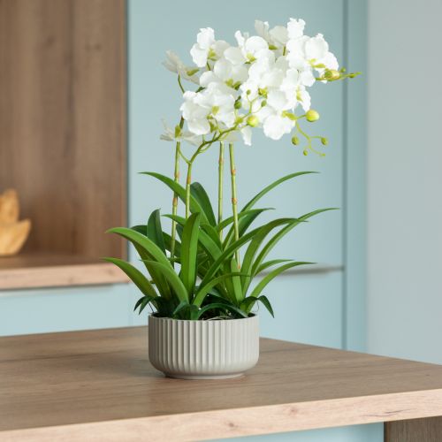 Floristik24 Konstgjorda orkidéer konstgjorda blommor i kruka vit 60cm