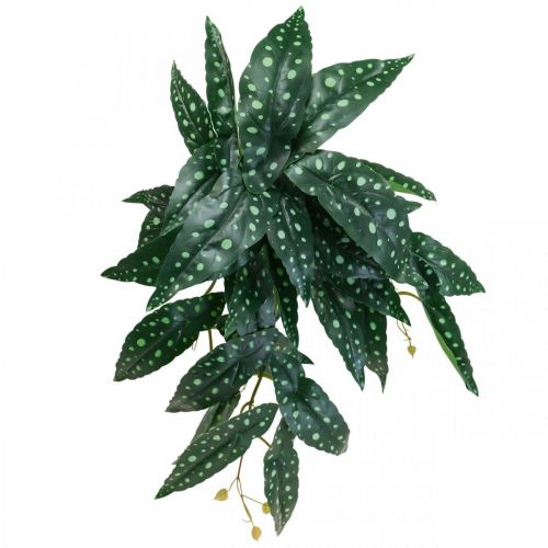Floristik24 Artificiell Begonia Konstgjord växt Grön, Mörkgrön 42×28cm