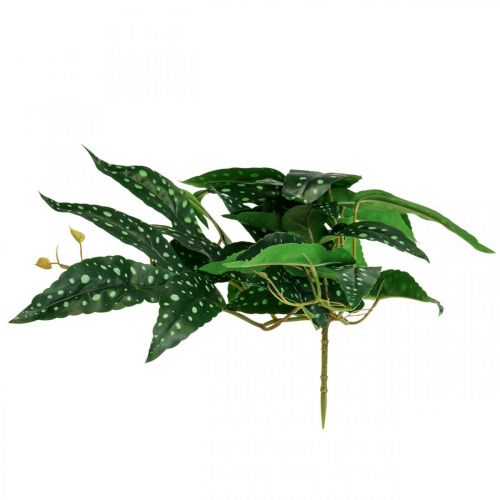 Floristik24 Artificiell Begonia Konstgjord växt Grön, Mörkgrön 42×28cm