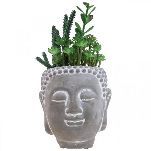 Floristik24 Konstgjord Suckulent Blomkruka Buddha Ø12cm H24cm