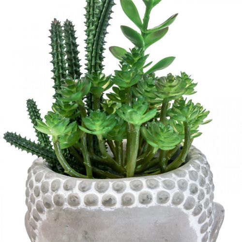 Floristik24 Konstgjord Suckulent Blomkruka Buddha Ø12cm H24cm