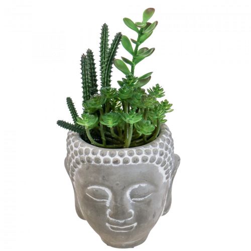 Floristik24 Konstgjord Suckulent Blomkruka Buddha Ø12cm H24cm