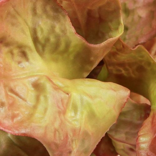 Artikel Konstgjord sallad Lollo Rosso dekorativt salladshuvud Ø20cm