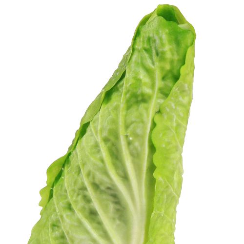 Artikel Konstgjord spetskål matdocka Ø5cm H18cm