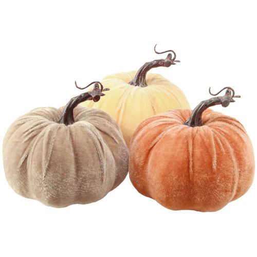 Floristik24 Pumpa dekoration höst gul brun orange Ø13cm H11,5cm 3 st