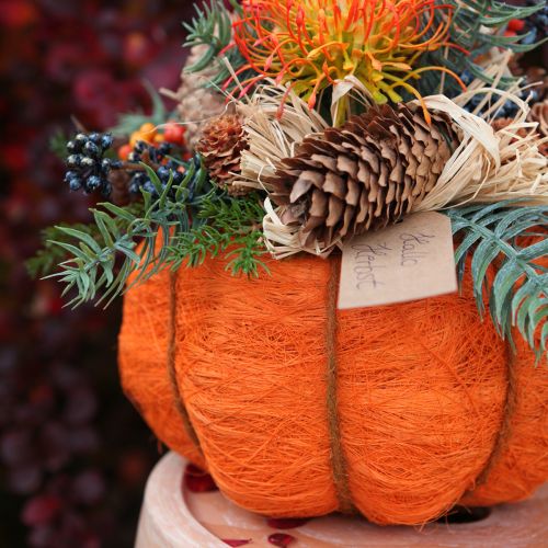 Artikel Pumpakruka orange/gulgrön tillverkad av sisal Ø15cm H9cm