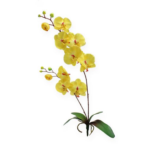 Floristik24 Konstgjord orkidé gul 68cm