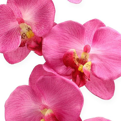 Floristik24 Konstgjord orkidé med blad Rosa 68cm