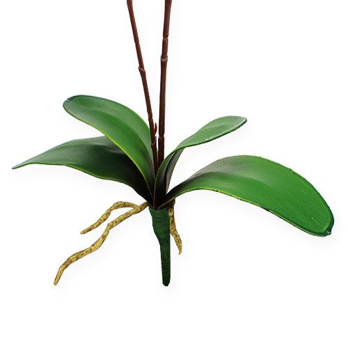 Floristik24 Konstgjord orkidé med blad Rosa 68cm