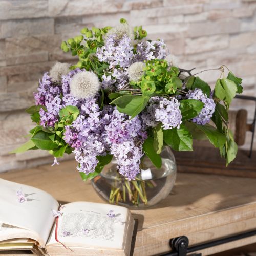 Artikel Kulvas Glasvas Klar rundbordsvas Blomvas Ø15,5cm H12,5cm