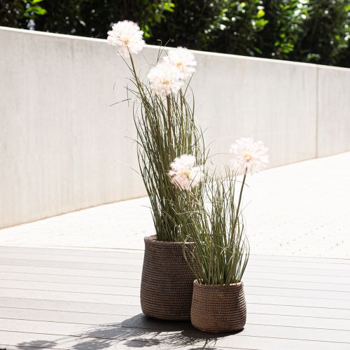 Floristik24 Konstgjorda blommor dekorativ bollblomma allium prydnadslök konstgjord 54cm