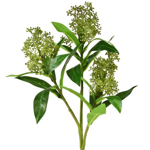 Floristik24 Konstgjorda blommor gröna Skimmia japonica Skimmie 45cm 2st