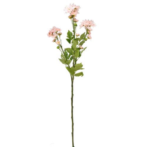 Artikel Konstgjorda Blommor Konstgjorda Asters Sidenblommor Rosa 80cm