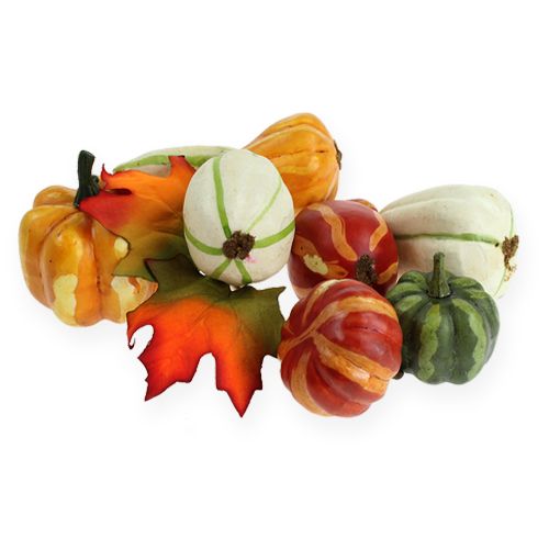 Pumpa mix färgade 12st | Floristik24.se