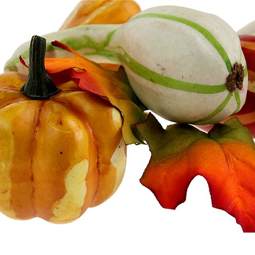 Pumpa mix färgade 12st | Floristik24.se