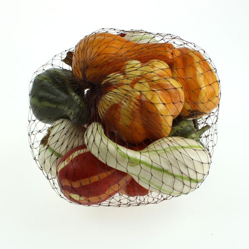 Pumpa mix färgade 12st | Floristik24.se