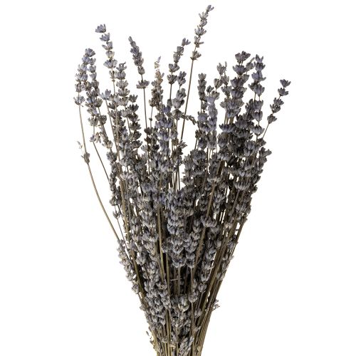 Artikel Torkad lavendel, väldoftande torkade blommor, 35-40 cm, 50 g