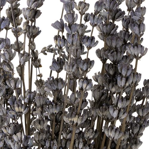 Artikel Torkad lavendel, väldoftande torkade blommor, 35-40 cm, 50 g