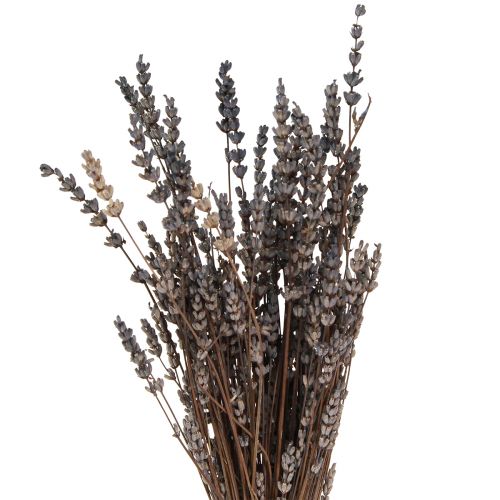 Artikel Lavendeltorkade doftande torkade blommor 35-40cm 50g