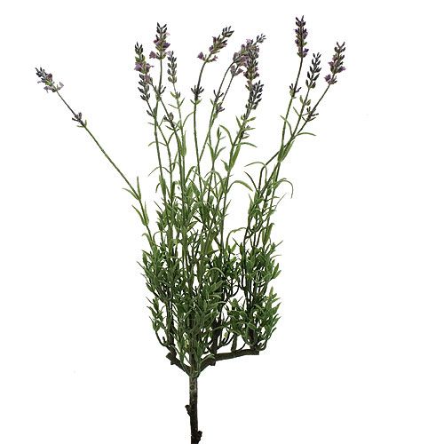 Floristik24 Konstgjord lavendel 53cm