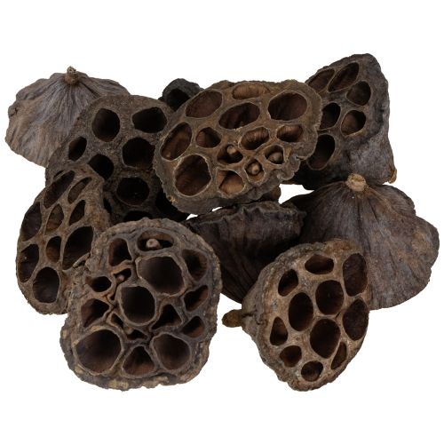 Artikel Lotuslök liten 100 st naturlig